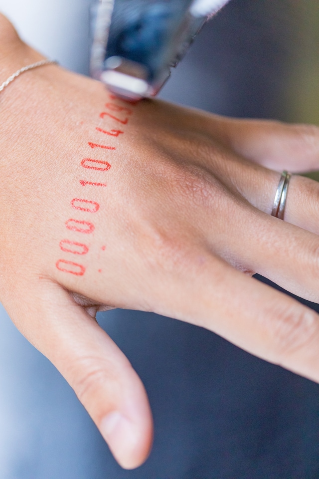 Tania Bruguera 3