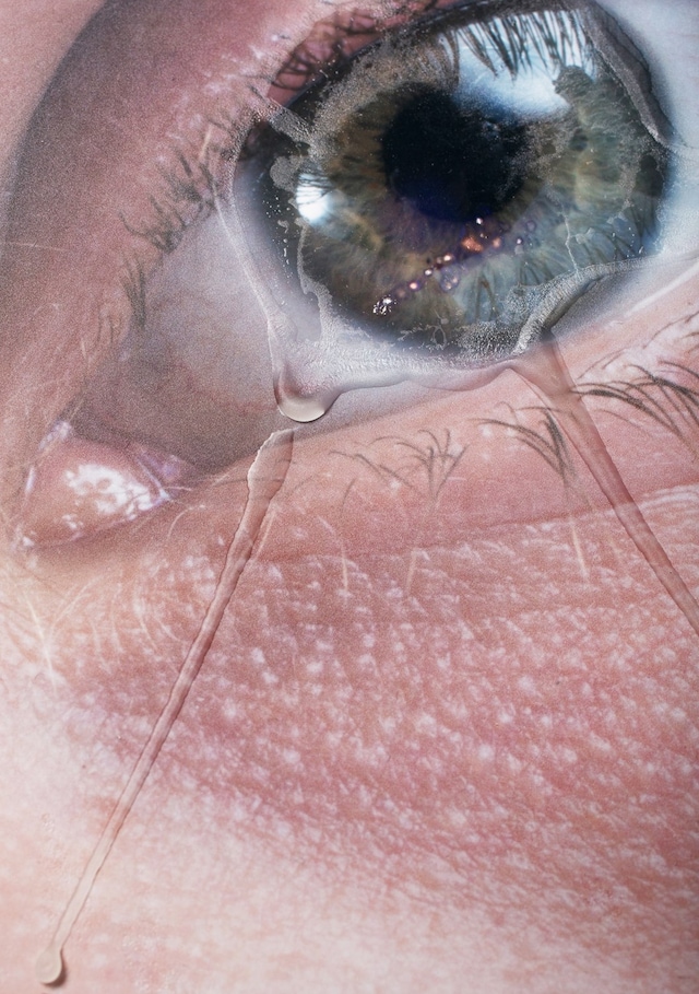 Alix Marie, Wax Photographs, 2014 0