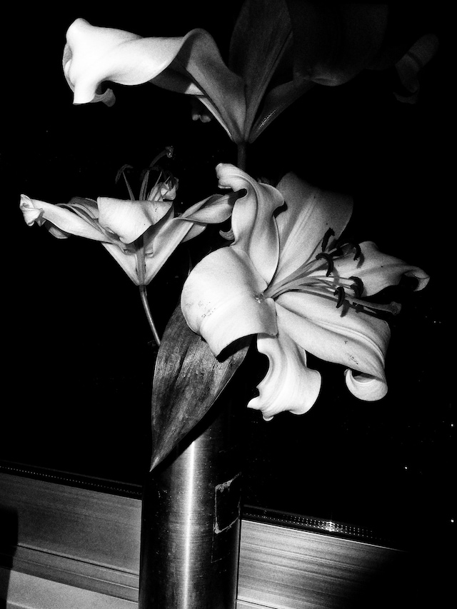 saint laurent anthony vaccarello daido moriyama self 3