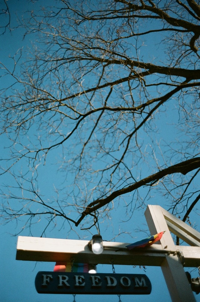 Jess Kohl’s Queerness in the Bible Belt 8
