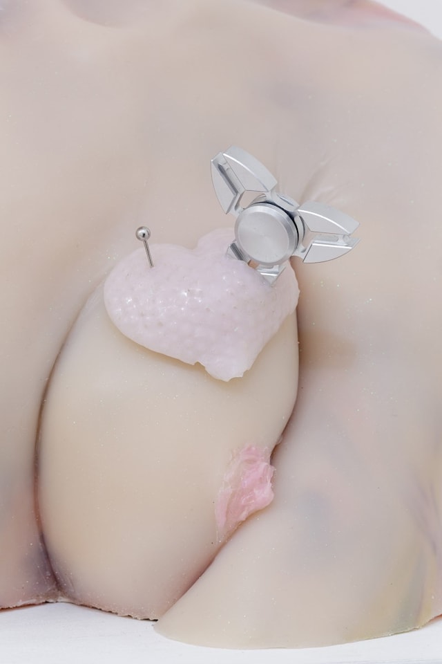 Cajsa Von Zeipel The Gossips 11