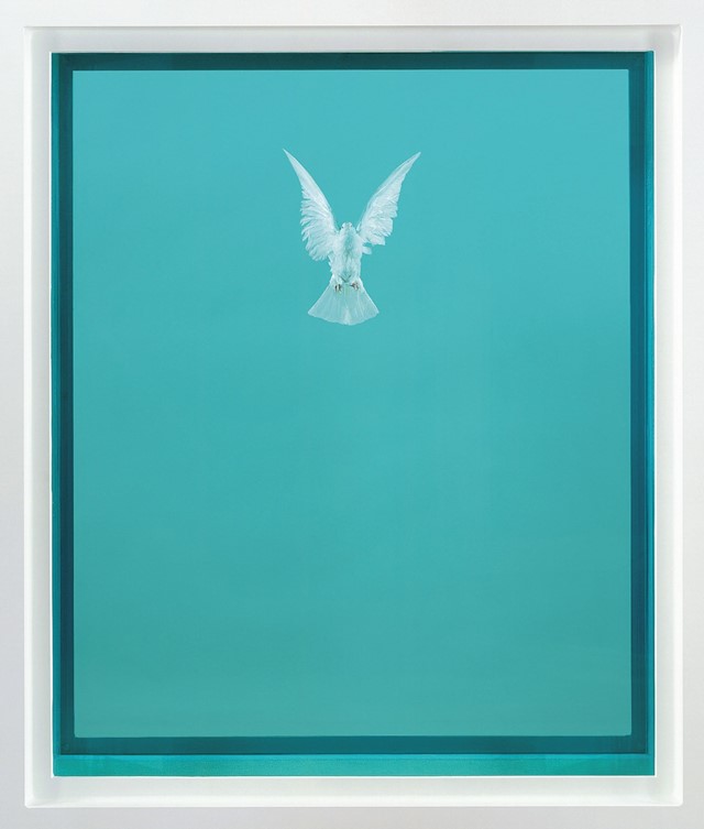 Damien Hirst George Michael the incomplete truth