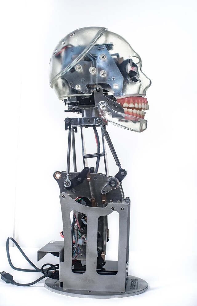 Ai-Da 6