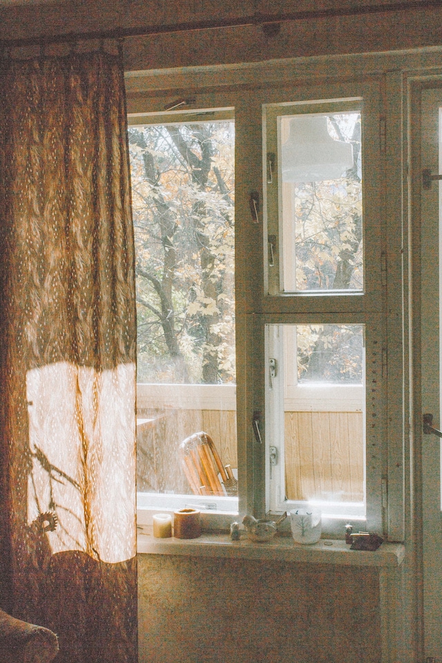 Dima Komarov 14