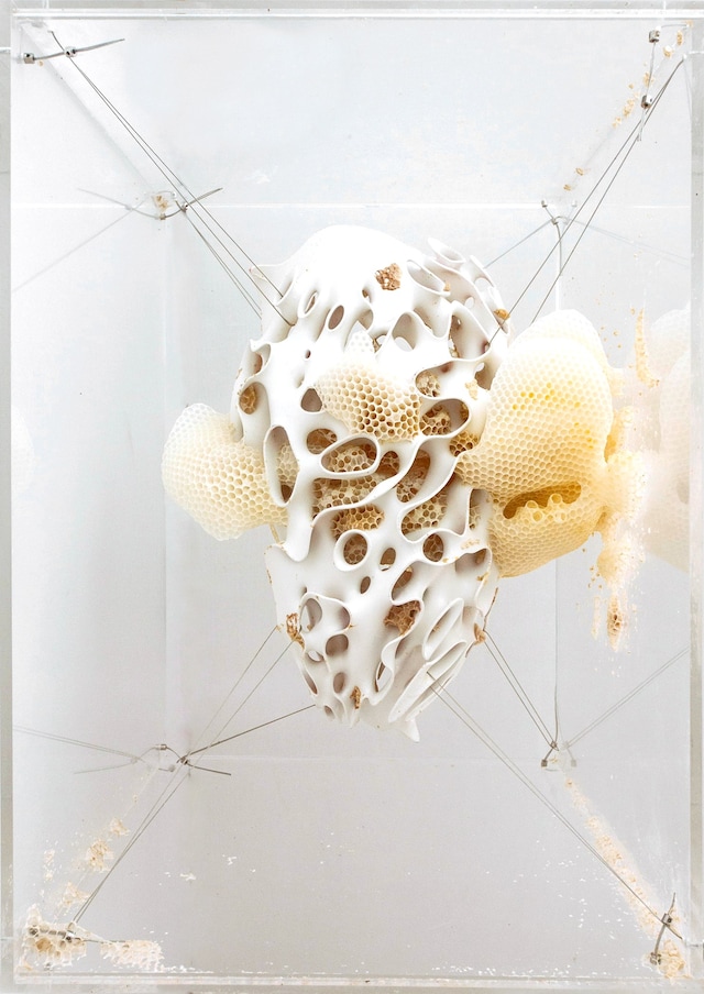 Barbican x AI: More than Human 11