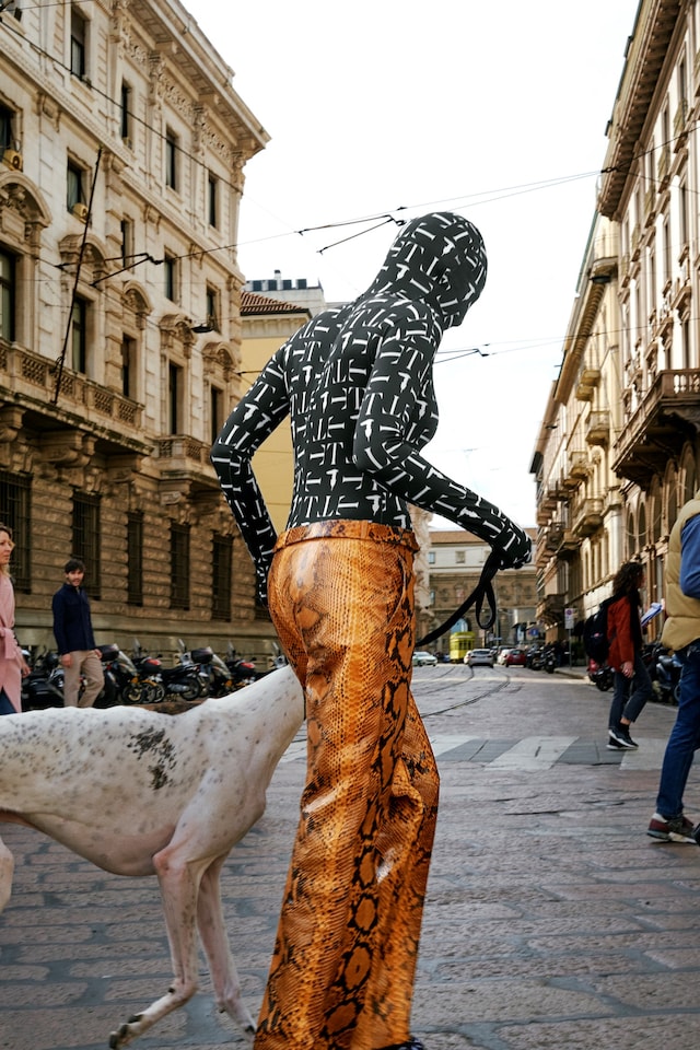 trussardi checking invoices archive now collaboration 4