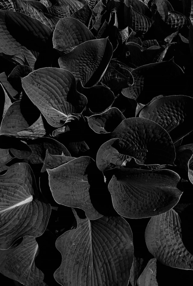 Ekaterina Bazhenova-Yamasaki’s Memory Turned Into Flesh 4
