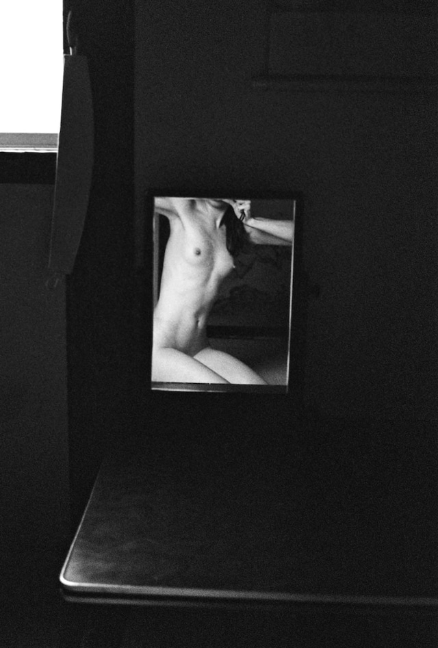 Ekaterina Bazhenova-Yamasaki’s Memory Turned Into Flesh 7