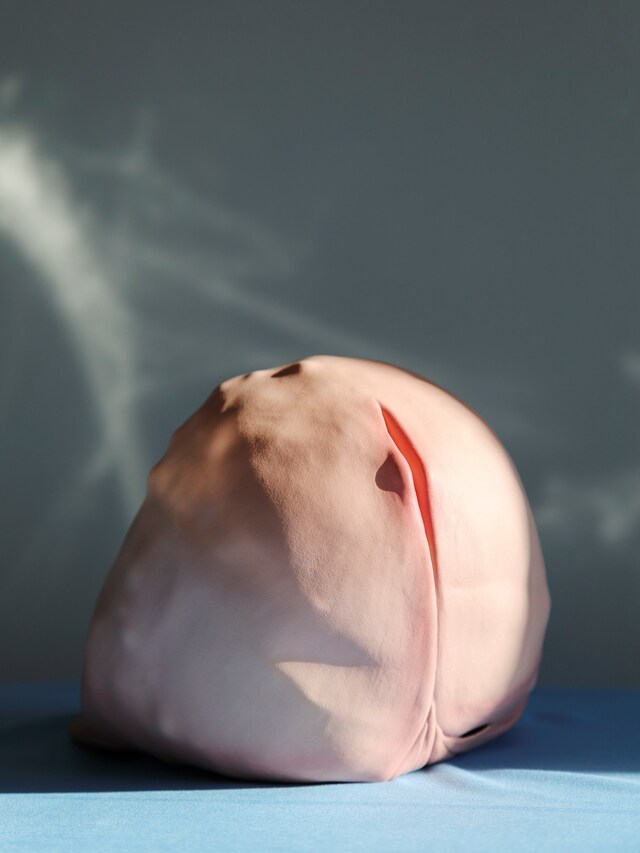 Foam Talent 2019, Valentine Bo 3