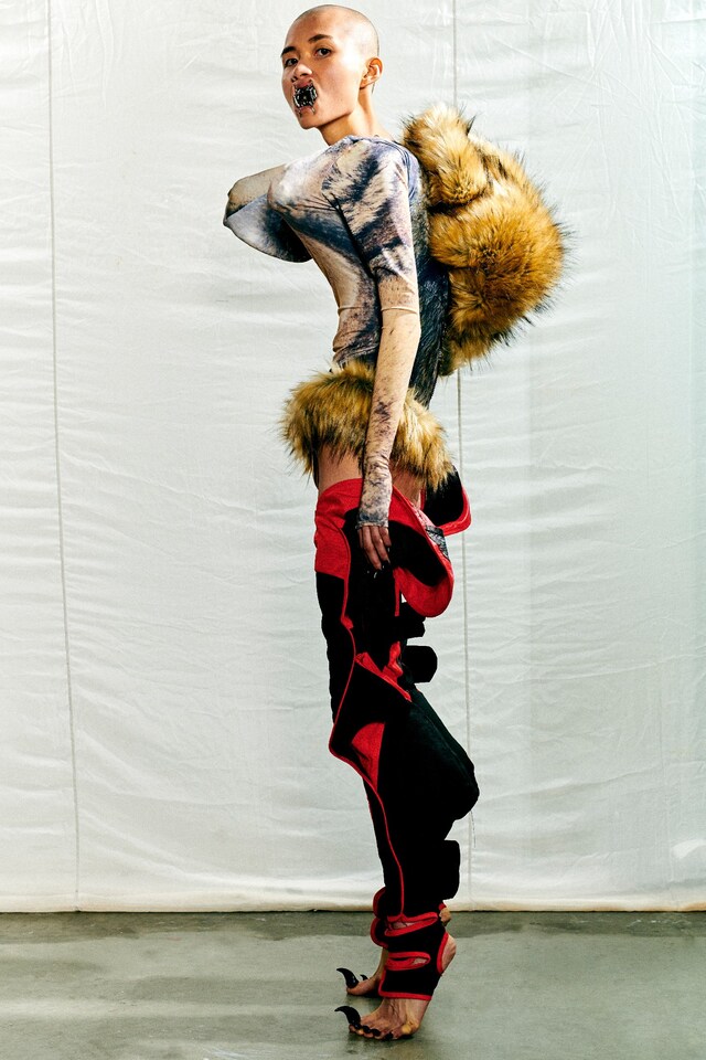 Danni Harris 5