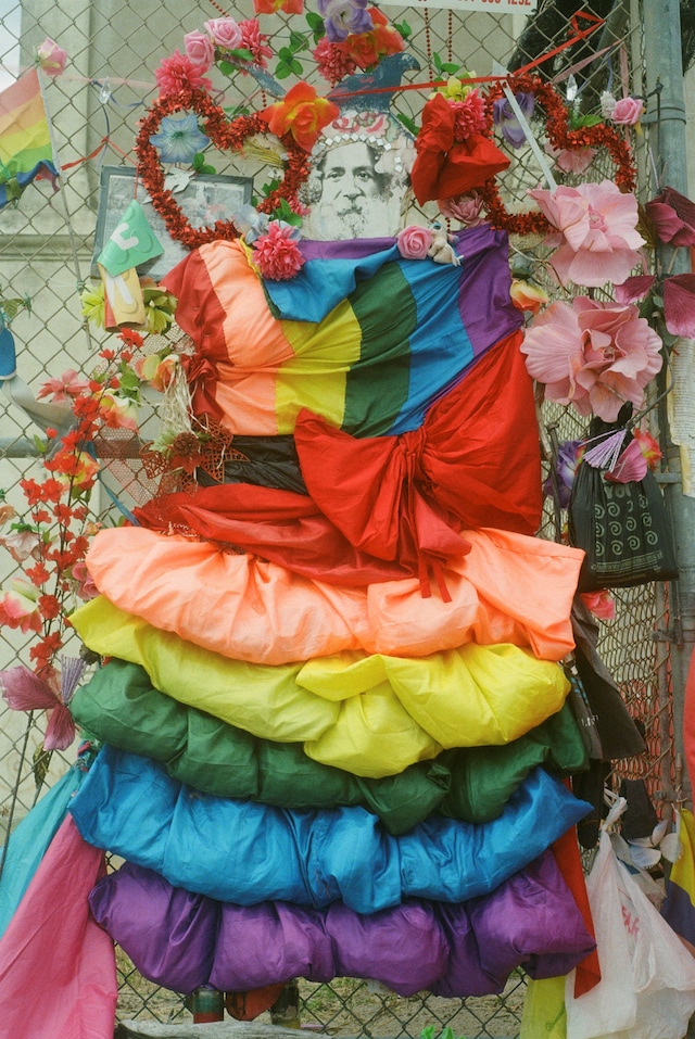 stonewall day riots lgbtq new york pride stonewall50 9