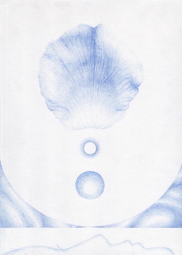 Charlotte Edey’s Echolocation 11 10