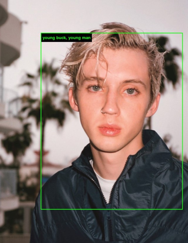 Troye Sivan