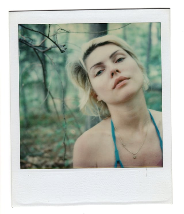 Debbie Harry Face It Memoir Rob Roth fan art photographs 1