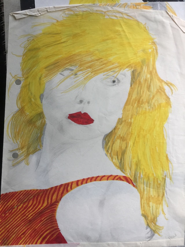 Debbie Harry Face It Memoir Rob Roth fan art photographs 7 6