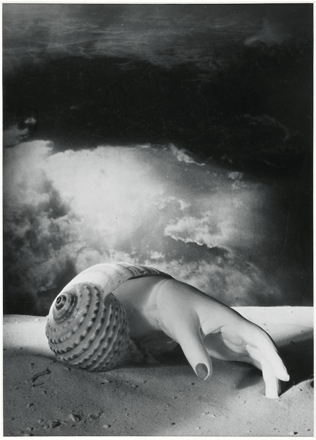 Dora Maar Untitled (Hand Shell) 1