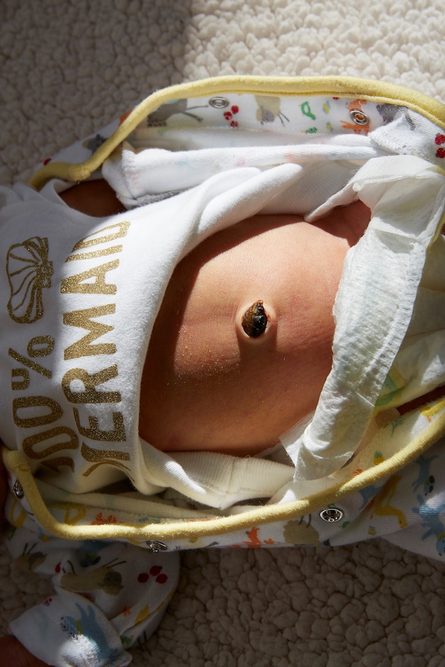 Sorry I Gave Birth I Disappeared But Now I’m Back 8