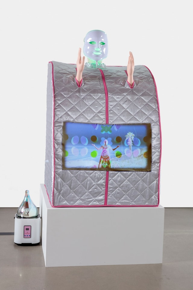 Shana Moulton. &quot;Untitled&quot; (2019). 23