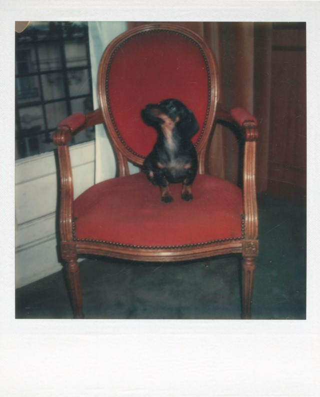 Andy Warhol, Archie