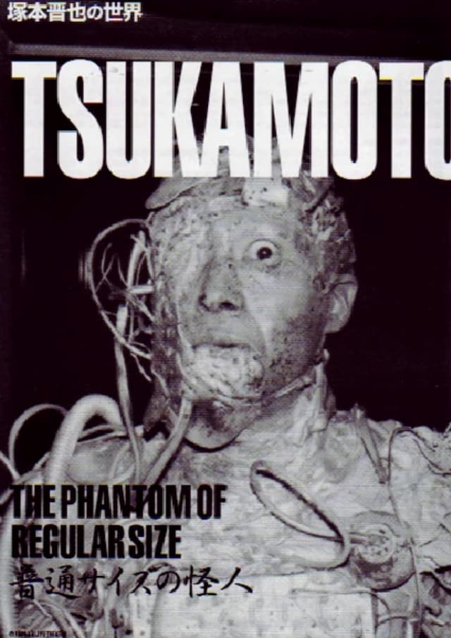  The Phantom of Regular Size, Shinya Tsukamoto 4
