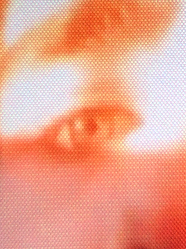 Chus &amp; Greg’s Quaranteen 24