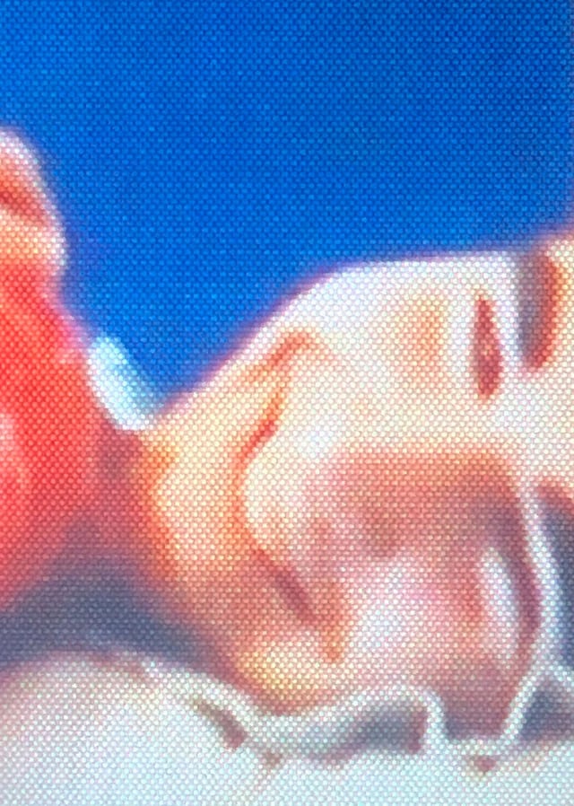 Chus &amp; Greg’s Quaranteen 33