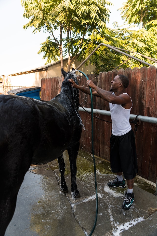 Anthony washing Dakota 20