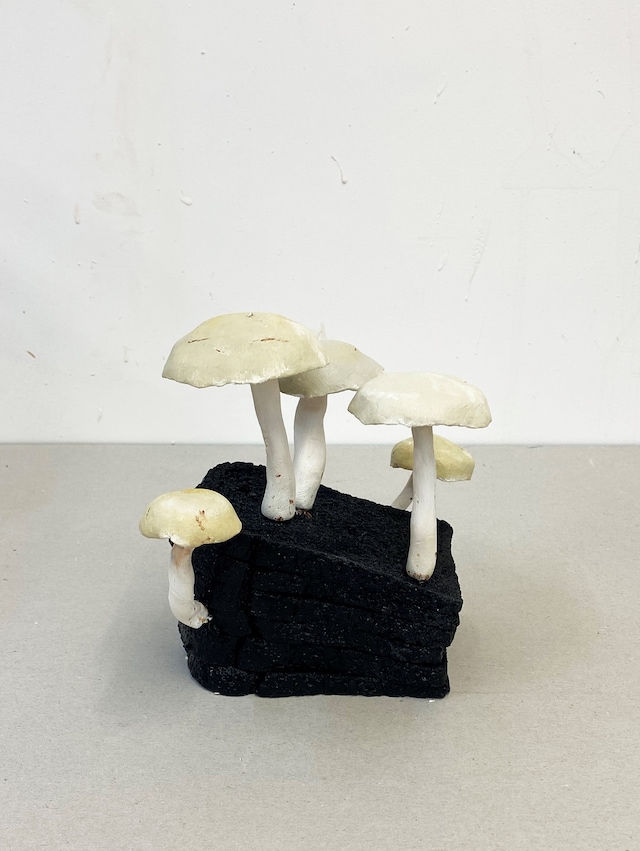 Beirut Re-Store, Hamish Pearch 16