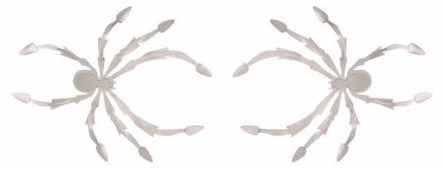 SPIDER BEAUTY PRODUCTS 