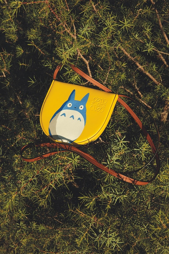LOEWE x My Neighbor Totoro Heel pouch 8
