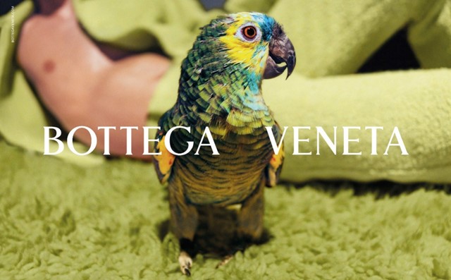 BOTTEGA VENETA