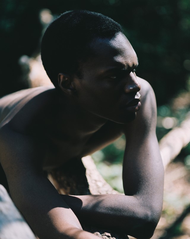 Marcus Riggs, Again, again, I rise (2020)