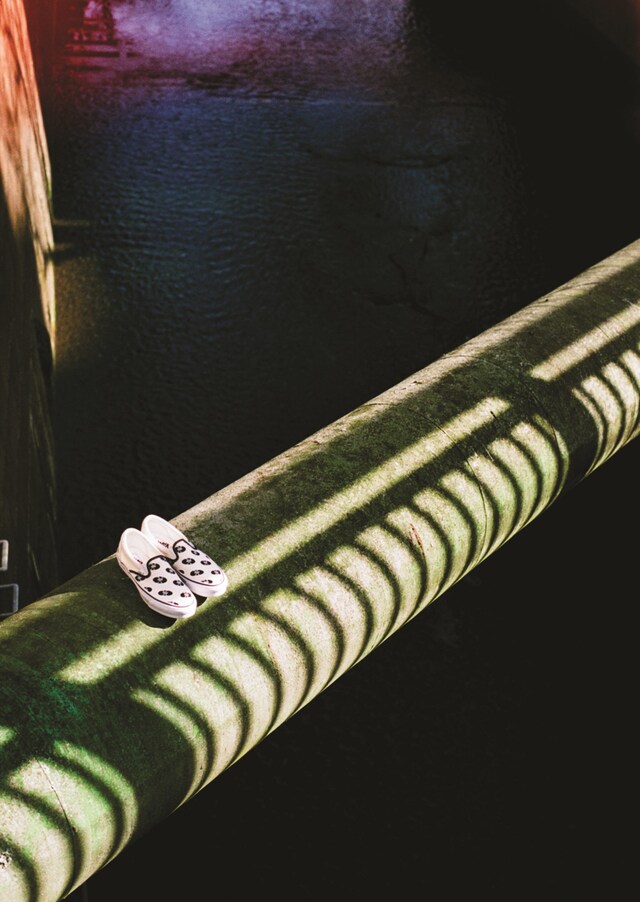 Vault by Vans x Wacko Maria 15