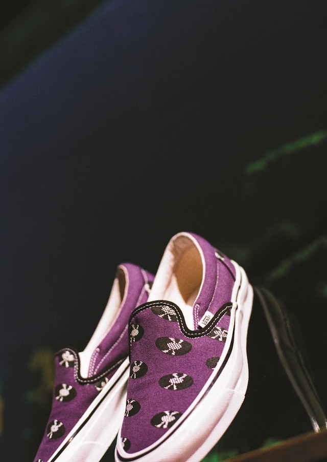Vault by Vans x Wacko Maria 19