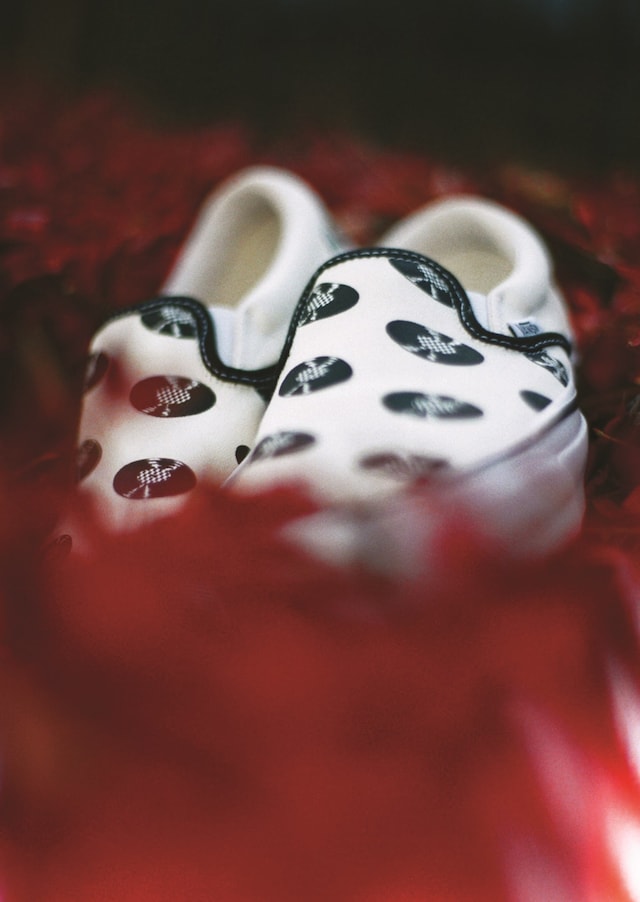 Vault by Vans x Wacko Maria 20