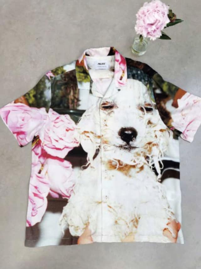 Juergen Teller X Palace 9