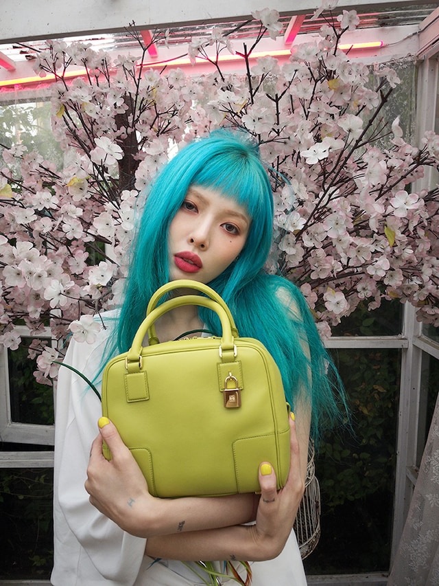 Loewe Amazona 6