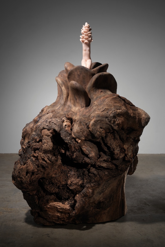 Louise Bourgeois, “Topiary” (2005) 16