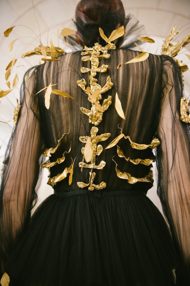 Schiaparelli Haute Couture by Daniel Roseberry SS22 19