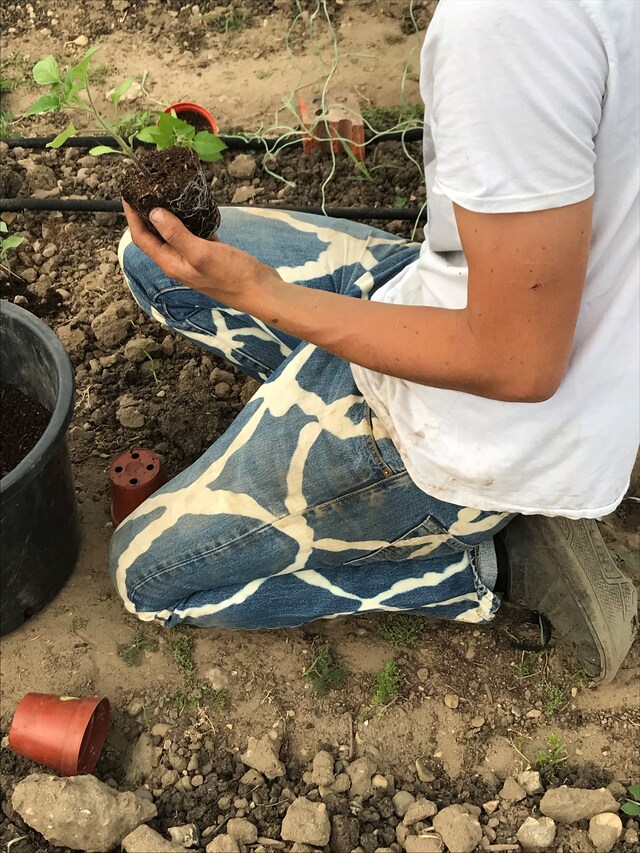 Richard Oxley sustainable label 7