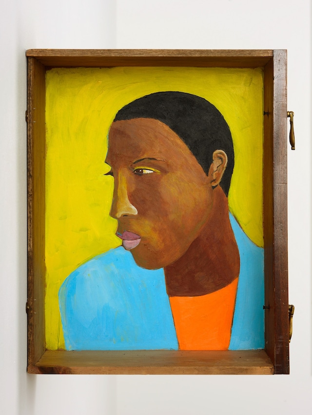 Man in a shirt drawer 5