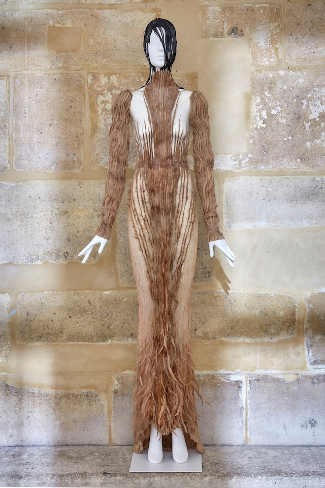 DressUndress 12
