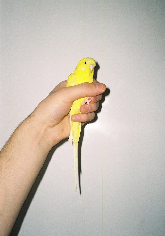 Gorsad photography collective Ukraine 9