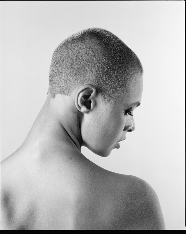Carlo Avena hair