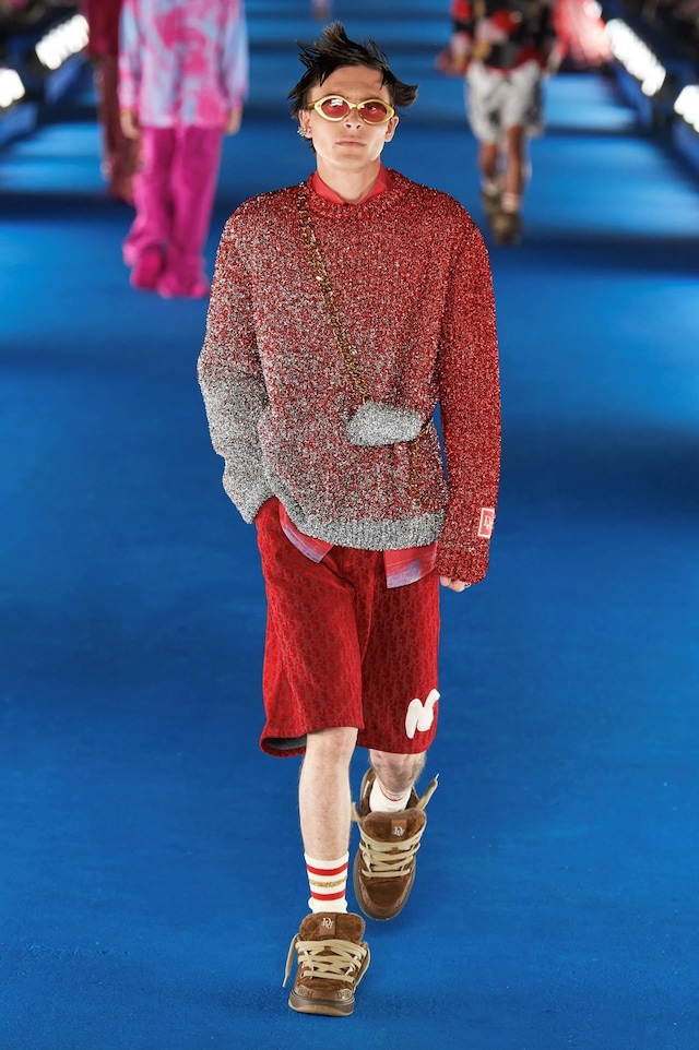 Dior x ERL Cruise 2022 8