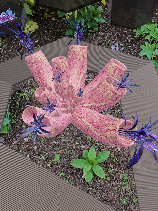 Georgia Janes, “Garden of Elowan”, Open Space (2022) 2