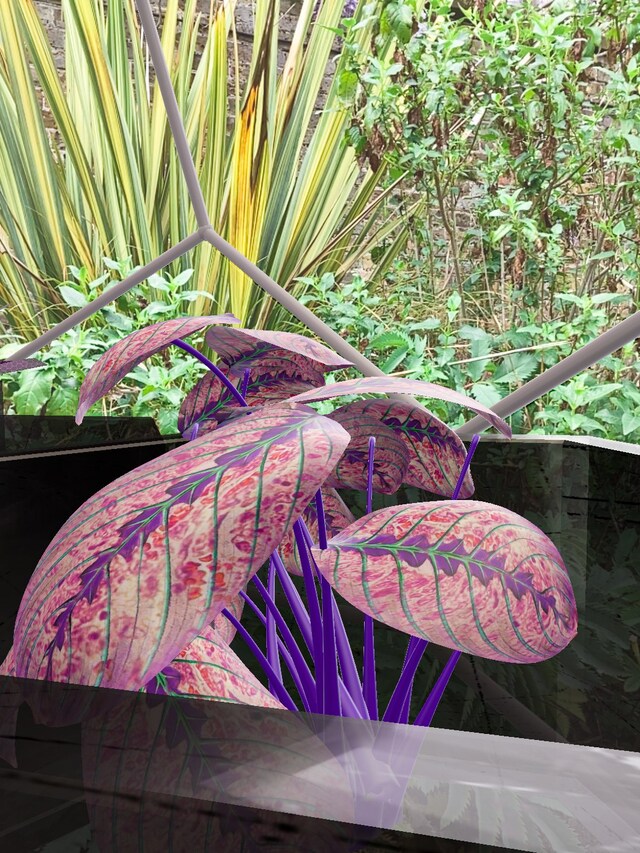 Georgia Janes, “Garden of Elowan”, Open Space (2022) 4
