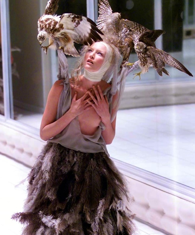 Alexander mcqueen 2025 bird dress