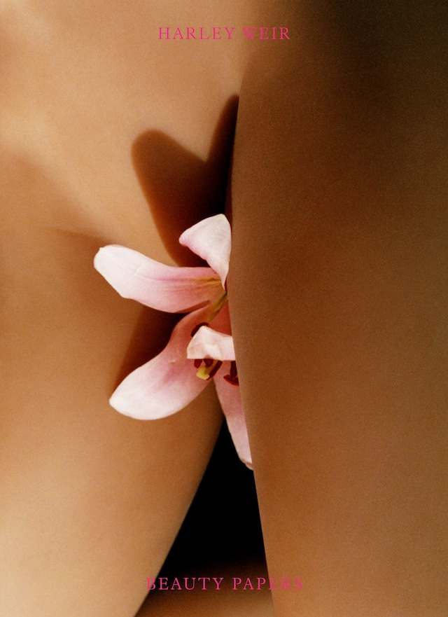Harley Weir Beauty Papers 0