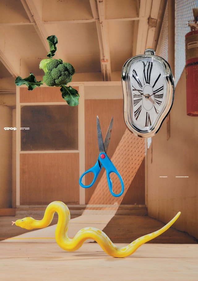 CIRCUS_Issue_02_8 9